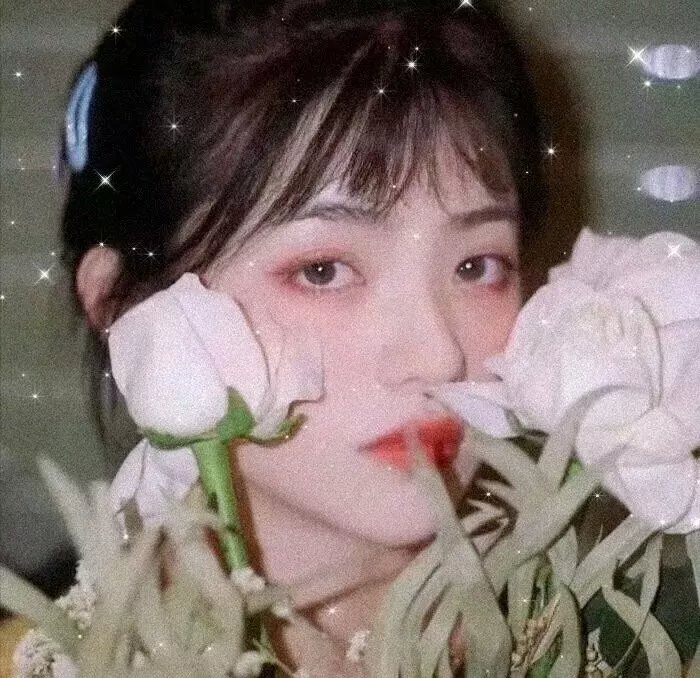 现代启示录之子